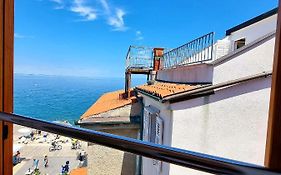 Old Piran Starfish